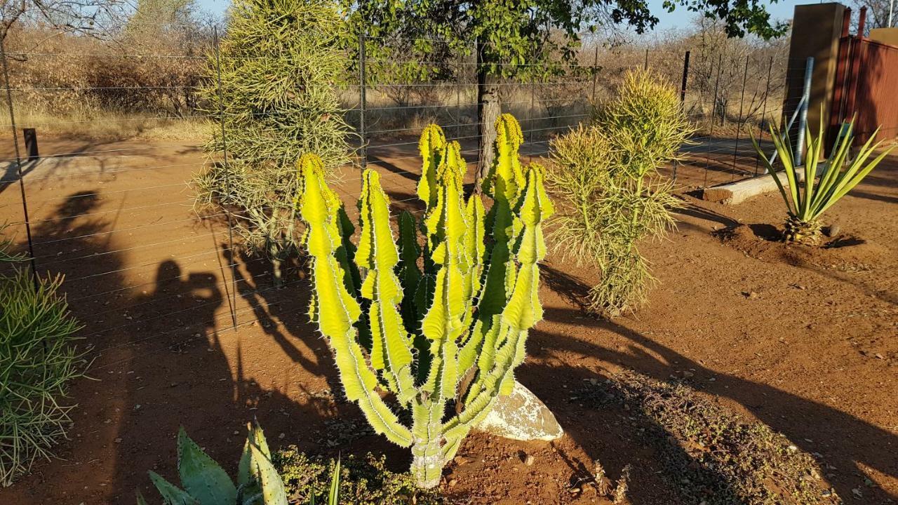 Hornbills Rest Country Home Phalaborwa Extérieur photo