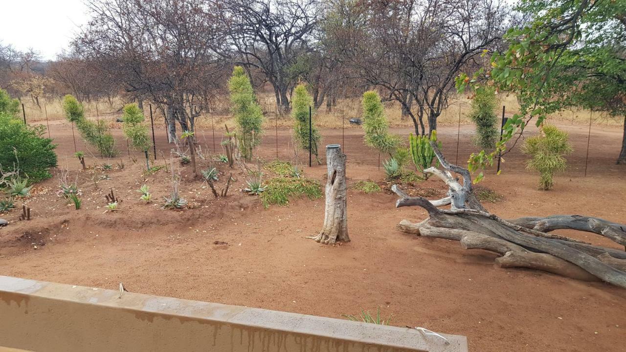 Hornbills Rest Country Home Phalaborwa Extérieur photo
