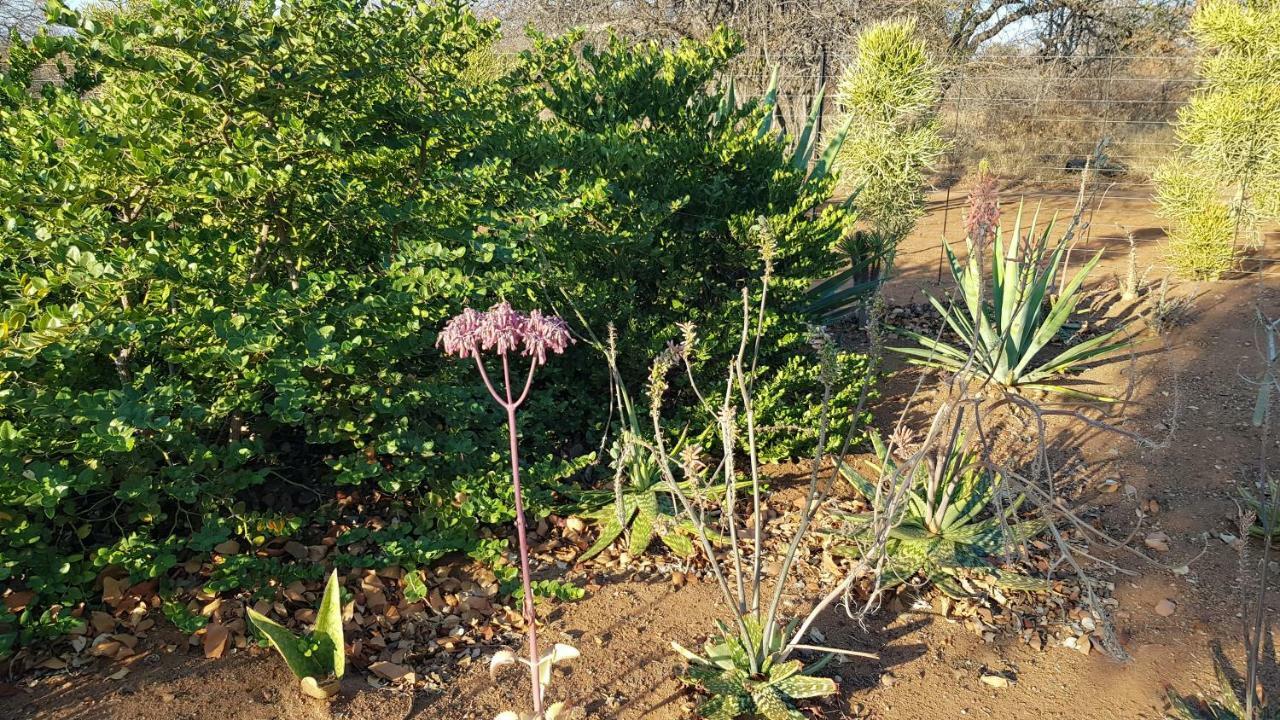Hornbills Rest Country Home Phalaborwa Extérieur photo